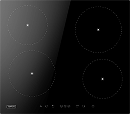 Induktionsfeld Reparatur Ludwigshafen